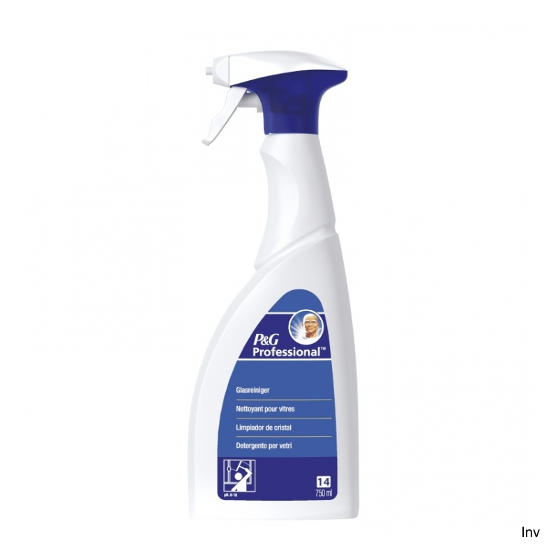 Mr. Proper Profesjonalny Spray do czyszczenia szkła 750 ml