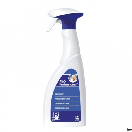 Mr. Proper Profesjonalny Spray do czyszczenia szkła 750 ml