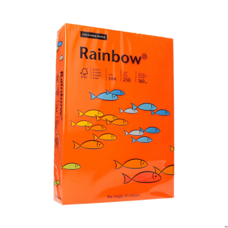 Papier xero A4 160g c.pomarań.R26 RAINBOW 88042461 - 1