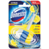 Domestos Zawieszka do WC 35g Citrus