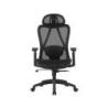 Fotel biurowy OFFICE PRODUCTS Kalamos, czarny