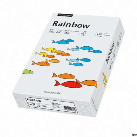 Papier Xero A4 160 g szary 250 arkuszy Rainbow