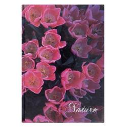 PAKIET Brulion OFFICE PRODUCTS, Nature, A5, w kratkę, 96 kart., mix