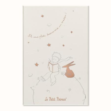 Zestaw MOLESKINE Pro Mały Książę, notes w linie + niedatowany planer L, edycja limitowana, w pudełku